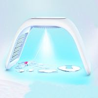 Pdt Facial Bio-light Photon Infrared Red Light Therapy Lamp Panel Beauty Device Machine For Anti Aging face led