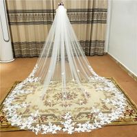 Real Photo 5m One Layer Wedding Veil With Comb White Lace Edge Bridal Veils Ivory Appliqued Cathedral Wedding Veil