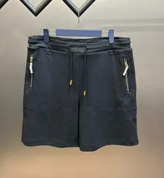 Shorts masculinos plus size 2024 novas calças de praia site oficial síncrono tecido impermeável confortável cor masculina: código de cor da imagem: m-xxxl s5t4r