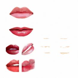 new Sdottor 5pcs 3D Tattoo Lip Practice Skin Plain For Tattoo Needle Machine Supply for Permanent Makeup Microblading w1Al#