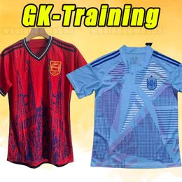 2024 Spain PEDRI Soccer Jerseys FERRAN TORRES MORATA GAVI 2025 fans version football shirt ANSU FATI KOKE AZPILICUETA 24/25 Men training set adult Goalkeeper