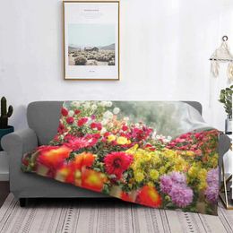 Blankets German Dahlia Garden All Sizes Soft Cover Blanket Home Decor Bedding Flower Maria