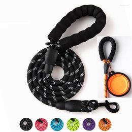 Dog Collars Black Poop Bag Holder Leash Nylon 150 Cm Pink Strong For Husky Reflective Webbing