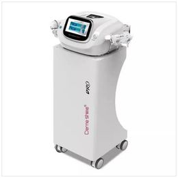 Rf Equipment 2 In 1 Fractional Rf Wrinkle Removal Skin Whitening Micro-Needle Machine For Sale Cold Hammer
