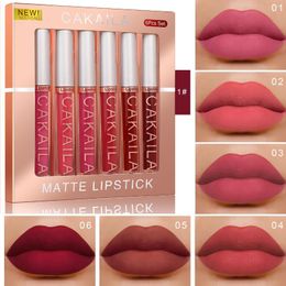 Lip Gloss 6Pcs/Box Matte Liquid Lipstick Waterproof Long-Lasting Lipgloss Nude Velvet Kit Makeup Set Make Up Cosmetics Stick