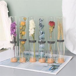 Decorative Flowers Wishing Bottle Glass Test Tube Dried Roses Everlasting Baby'S Breath Carnations Valentine'S Day Gifts