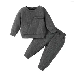 Clothing Sets 2024 0-3Y Baby Boy Spring Outfits Long Sleeve Knit Textured Sweatshirt And Pants 2pcs Tracksuit Toddler Casual Clothes Set