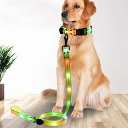 Dog Collars Soft Webbing Collar Leash Usb Rechargeable Led Light Adjustable Length 3 Modes Night For Safety