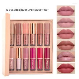 Lip Gloss Liquid Lipstick Set Matte Pearlescent Non-sticky Cup Glaze 12 Colour Book Long-Lasting Moisturising Woman Gift