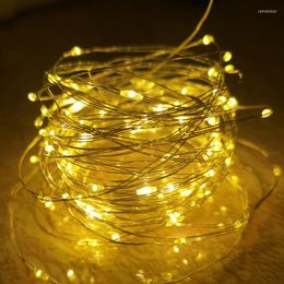 Strings USB Led Copper Wire String Lights Holiday Fairy Outdoor Lamp Garland Luces For Christmas Tree Decor Wedding Decoration