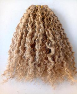 nuovo arrivo estensioni dei capelli di trama dei capelli ricci brasiliani non trattati ricci naturali estensioni umane di colore biondo scuro possono essere tinte6502448