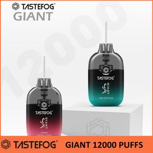 Tastefog Giant 12000puffs Одноразовая электронная сигарета Vape Power Light Лучшая цена