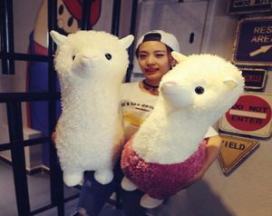Dorimytrader Kawaii Cartoon Sheep Plush Toy Big Stuffed Plush Animal Alpaca Boneca Travesseiro para Crianças Presente 31 polegadas 80cm DY611545895702
