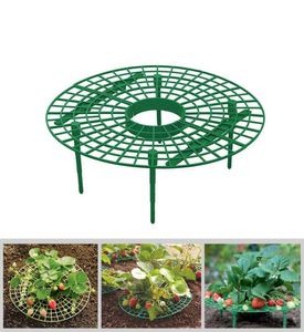 Erdbeerstützen halten die Früchte hoch, um Bodenfäule zu vermeiden, Pflanzenstütze mit 4 stabilen Beinen, Gartenzubehör9308082