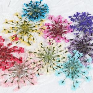 Mücevher 10 Renk Doğal Kurutulmuş Çiçekler Epoksi Reçine 3D Kuru Bitkiler Silikon Kalıplar UV Reçine DIY DIY Takı Kolye Zavalları Sanat Yapımı