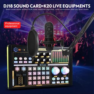 Звуковая карта DJ18, студийная запись, профессиональный микшер, микрофон с шумоподавлением для пения, голосовой BM800, прямая трансляция Mick Tok Music 240110