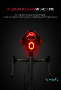 Bisiklet Arka Işık Otomatik Fren için El Feneri USB Şarj LED Dağlar Bisiklet Seatpost Bisiklet Arka Havalandırma Bisiklet Işık Acce4422396