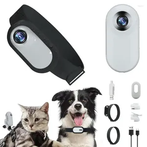 Coleiras para cães com câmera para animais de estimação HD 1080p Mini esportes com tela de gravação de vídeo ao ar livre sem fio suprimentos de segurança para gatos