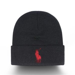 classic designer autumn winter beanie hats hot style men and women fashion universal knitted cap autumn wool outdoor warm Luxury POLO skull caps P-201415