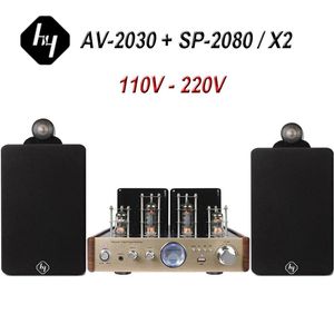 Altoparlanti HY AV2030 Amplificatore stereo a tubo a vuoto Combinazione di altoparlanti HIFI Bluetooth Ottico coassiale Tereo Audio AMP 110 V 220 V Universale