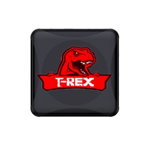 Trex OTT Media 4K Smart TV Oynatıcı Kutusu için Güçlü 1/3/6/12 Android Linux iOS Global