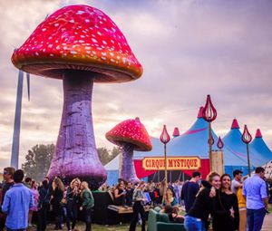 Оптовая продажа, индивидуальный надувной гриб высотой 16,4 фута со светодиодными лампами для мероприятий, свадеб, украшений для вечеринок/красочных воздушных шаров с грибами