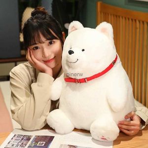 Peluş Bebekler Simülasyonu Samoyed Peluş Oyuncak Sevimli Tombul Beyaz Köpek Bebek Yaşam Nakes Doldurulmuş Husky Dolls Kawaii Oyuncak Doğum Günü Hediyeleri