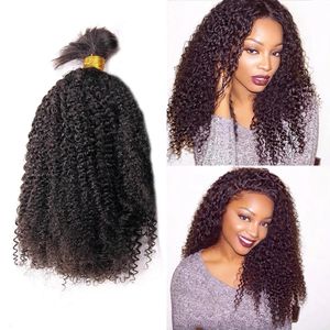 Kinky Curly Human Hair Bundles 100g Mongolian Afro Kinky Curly Human Hair Bulk For Braiding No Weft For Black Women 240118