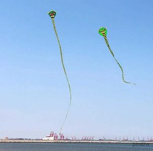 Uçurtma Aksesuarları Ücretsiz Nakliye Büyük Yılan Uçurtma Sinek String Hat Naylon Uçurtma Plajı Spor Çocukları Uçurtma Weifang Cobra Kite
