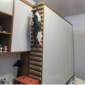 Oyuncaklar duvarlı aktivite kedi ahşap sisal kazıyıcı tırmanıcı mobilya kedi köprü ipi basamaklar yavru kedi merdiven yavru kedi post duvarı