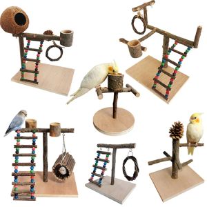 Oyuncaklar Masif Ahşap Papağan Stand Eğitim Kuş Stand Papağan Oyuncaklar Masaüstü Eğitim Stand Kutup İnteraktif Oyun Alanı Küçük Evcil Hayvan Malzemeleri