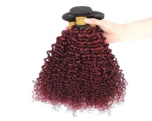 1B Borgonha Ombre Extensões de Cabelo 1b 99J Brasileiro Kinky Curly Hair Weave Red Remy Ombre Cabelo Humano 3 4 Bundles1419868