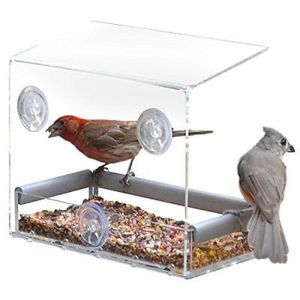 Besleme penceresi kuş besleyicileri temiz cam pencere izleme kuş besleyici otel masa tohumu fıstık asma emme