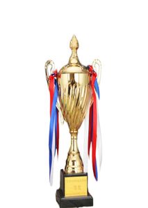 Özelleştirilmiş Metal Kupa Öğrenci Genel Amaçlı Altın Kaplama Maç Kupaları ve Tatil Hediyeleri ve Hatıra İçin Uygun Ödüller9021558