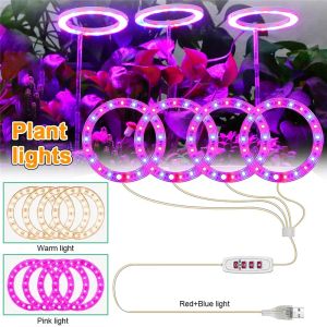 DC5V USB Grow Light Anjo Quatro Anel com controlador de tempo de escurecimento LED Lâmpada de planta para mudas internas Flor Suculenta Blooming Fruiting LL