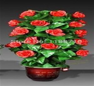 RemoteControl Blooming Çiçek Bush 20 Çiçekler Sahne Sihirli Sihirli Hile Gimmick Props250r8411627