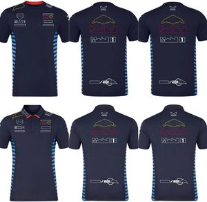 2024 F1 Team Racing T-Shirt Formül 1 Sürücü Erkek Polo Gömlek Tişörtleri Motor Sporları Yeni Sezon Giyim Hayranları Üstleri Jersey Plus Boyut S-5XL