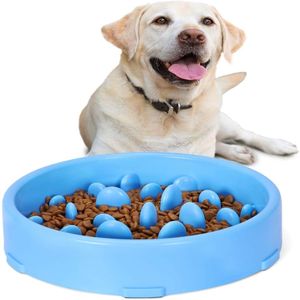 Köpek yavaş besleyici kase önleyici anti-mavna pet daha yavaş besleme yemekleri dayanıklı boğulmayı önleyen sağlıklı tasarım köpekleri275i