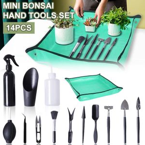 Dekorasyonlar Etli Bitkiler Aracı Seti 814pcs Bahçe Ekici Kiti Houseplant Bonsai İç Mekan Peri Bakım Saksı Kaktüsü