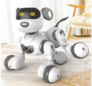 Интеллектуальный робот с дистанционным управлением, игрушка для собак, говорящая прогулка, интерактивный милый щенок, электронная модель животного, подарок, игрушки для детей 203566764