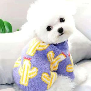 Köpek giyim kazakları Sonbahar/Kış Yastıklı Evcil Örme Teddy Dikhan Pomerang Schnauzer Küçük Giysiler İki Ayak Giysileri