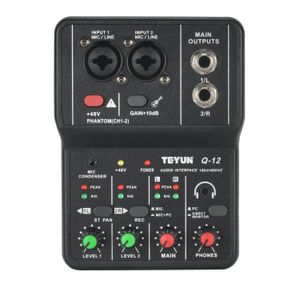 Портативный аудиоинтерфейс, профессиональный мини-микшер для внешней звуковой карты, 48 В, компьютер, гитара, студия, ПК, записывающее оборудование Teyun Q-12 240314
