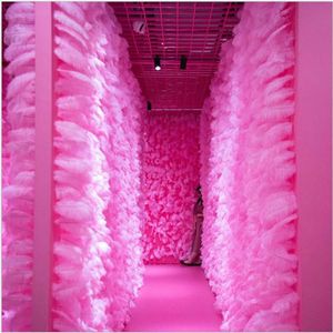 Party -Dekoration 100pcs Pink Strauß Federn Rote Hochzeit bevorzugt Geburtstag Federwand Hintergründe