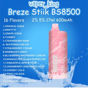 Breze Stiik BS8500 Puf Puf Teslim Edilebilir E Sigara Bobin 17ml Pod 600 MAH Fabrika Pil Elektronik CIGS 2% 5% 16 Tatlar Puflar 8500 Vape Kalem Hızlı Teslimat Kiti