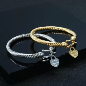 Titanium Steel Bangle Cable Wire Gold Color Love Heart Charm Bangle Pulseira com fecho de gancho para mulheres homens casamento jóias presentes1 28Jr #