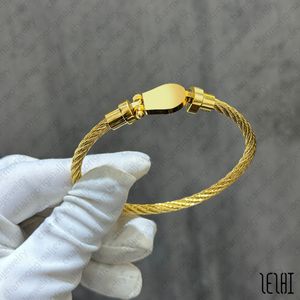 Cazibe bilezik tasarımcısı lüks bilezikler fd bileklik plaj bilezikleri altın bileklik tasarımcısı evlilik bilezikleri toptan mücevher takı tasarım mücevher mücevherleri mücevher