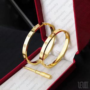 Vida Bileklik Altın Bilek Tasarımcı Tırnak Bilezik Genişliği 4mm 6mm 7mm Lüks 4 Elmas Paslanmaz Çelik Bileklik Büyük Altın Bangles Takı Tase Tasarımcı Bilezik Kadın