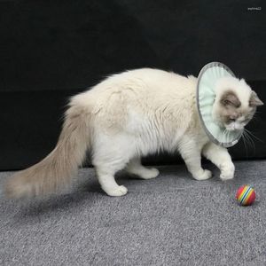 Köpek giyim kedi kurtarma yaka koruyucu boyun konileri ayarlanabilir evcil hayvan konisi hafif kedi elizabethan c sonra c