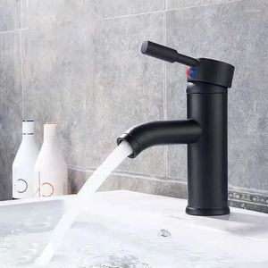 Banyo Lavabo muslukları Siyah Boya Havzası Musluğu Tek Kara Kol Soğuk Su Karıştırıcı Paslanmaz Çelik Gemi Bir Delik Tuvalet Tapware