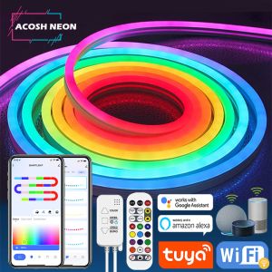 Tuya Akıllı Life Led Neon Light Strip 12V LED STRIT RGB NEON BAKIT Dekorasyonu Alexa Google Home Silika Jel Klipsli